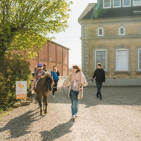 Buedlfarm - Der Familien-Erlebnishof In Strandnaehe Fehmarn Exterior photo